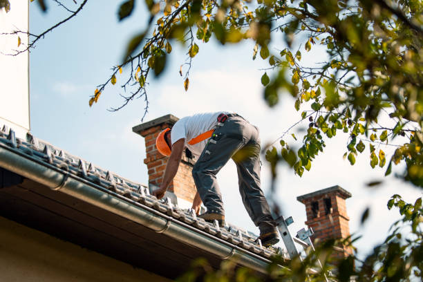 Best Commercial Roofing Services  in Valley Falls, RI